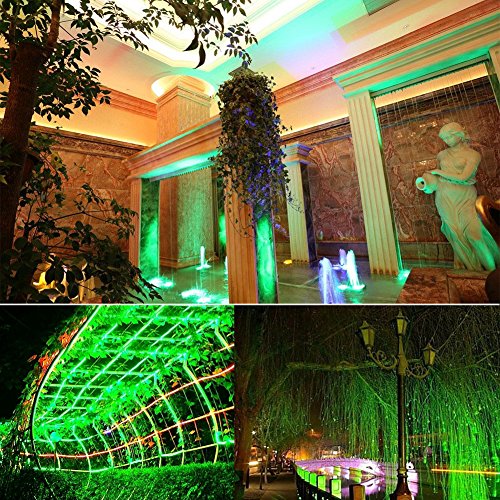 XUNATA 328ft Flexible LED Strip Lights, AC 110-120V 60 LEDs/M Dimmable Waterproof SMD 5050 LED Rope Light with Remote Controller for Party Home Decoration (Green)