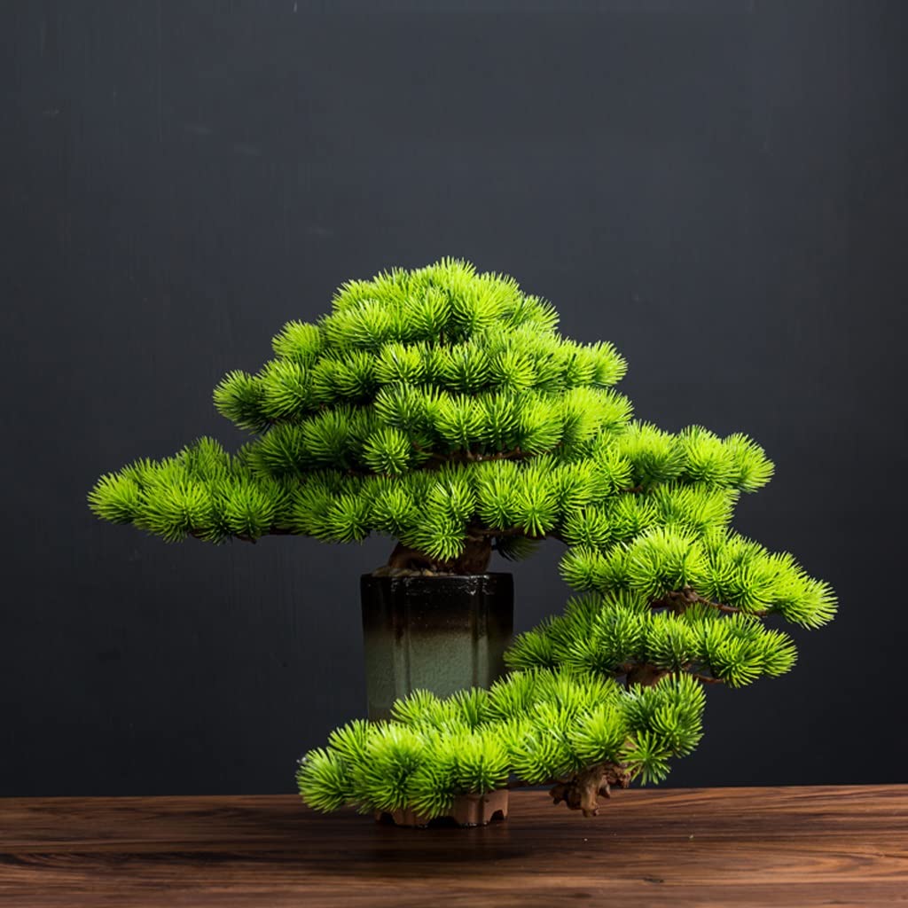 Plantas Artificiales Artificial Bonsai Pine Tree Simulation Green Plant Bonsai Indoor Fake Plant Potted House House Plants for la escritorio Home Office Exhibir Falsas en Macetas Plantas ( Color : A )