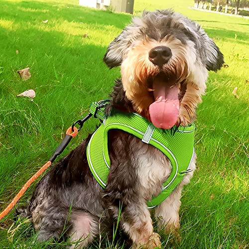 Joytale Step in Dog Harness,Soft Mesh Reflective Breathable Vest Harnesses,Easy Walk Harness with Safety Buckle for Small and Medium Dogs,L,Green - Image 2