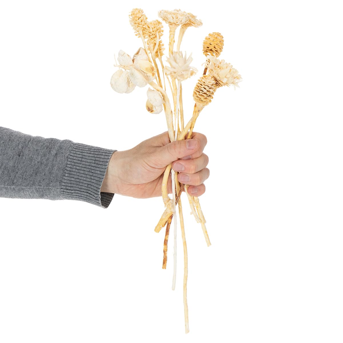 Trockenblumen Mix 60St Deko Exoten Sortiment Gebleicht für Floristik und Tischdeko, 60 Stück