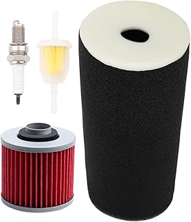 Vichoice 1UY144510000 Air Filter ATV with Oil Filter Replacement for Yamaha Grizzly 660 Air Filter YFM660F YFM660FH YFM660FA Wolverine 350 YFM350FX Warrior 350 YFM350X Raptor 350 YFM350R