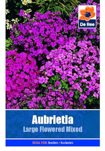 Flower Seeds Aubretia Large Flowered Mixed - 185 Seeds Packet Plant Bedding Borders Containers Pots Grow Your Own Garden Plant Seed