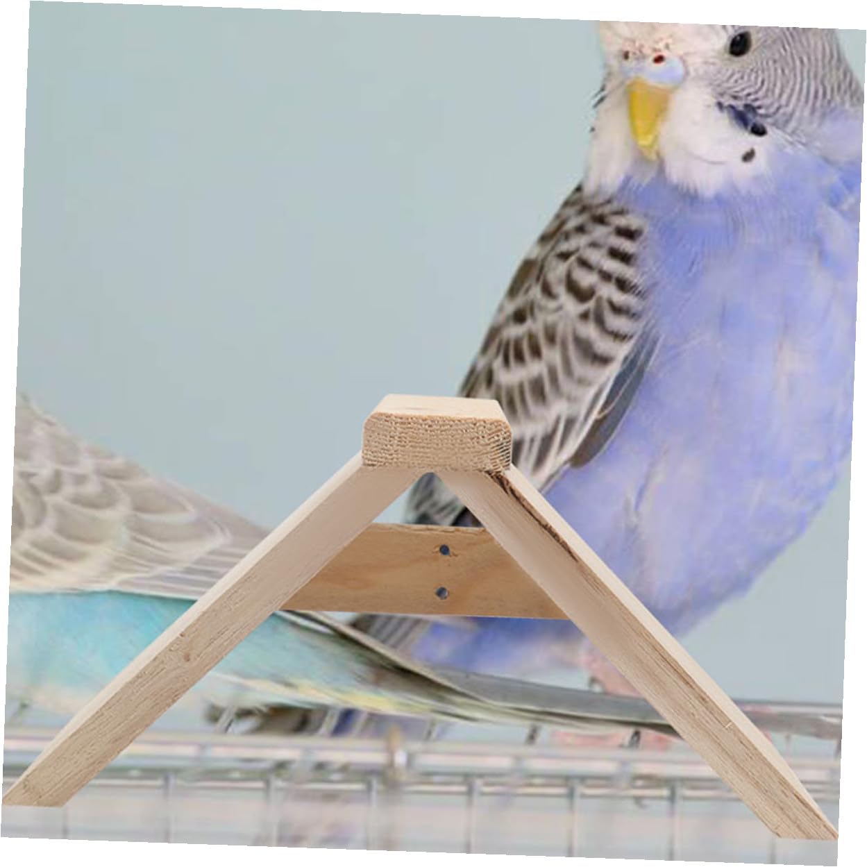 Gatuida Soporte De Madera Natural para Palomas y Loros, Percha Multifuncional De 5 Piezas, Tamaño Mediano, para Descanso y Juegos De Aves Pequeñas, Suministros para Mascotas y Parque De Aves