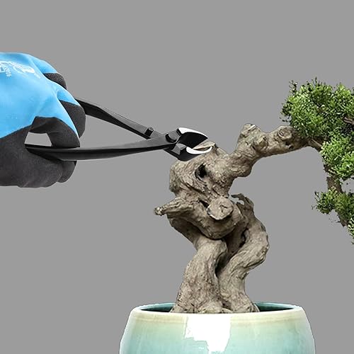 Miniatura 2 de Juego de herramientas para bonsái, cortadores cóncavos de 8 pulgadas y cortadores de perilla esféricos de 8 pulgadas, acero al carbono, kit de poda