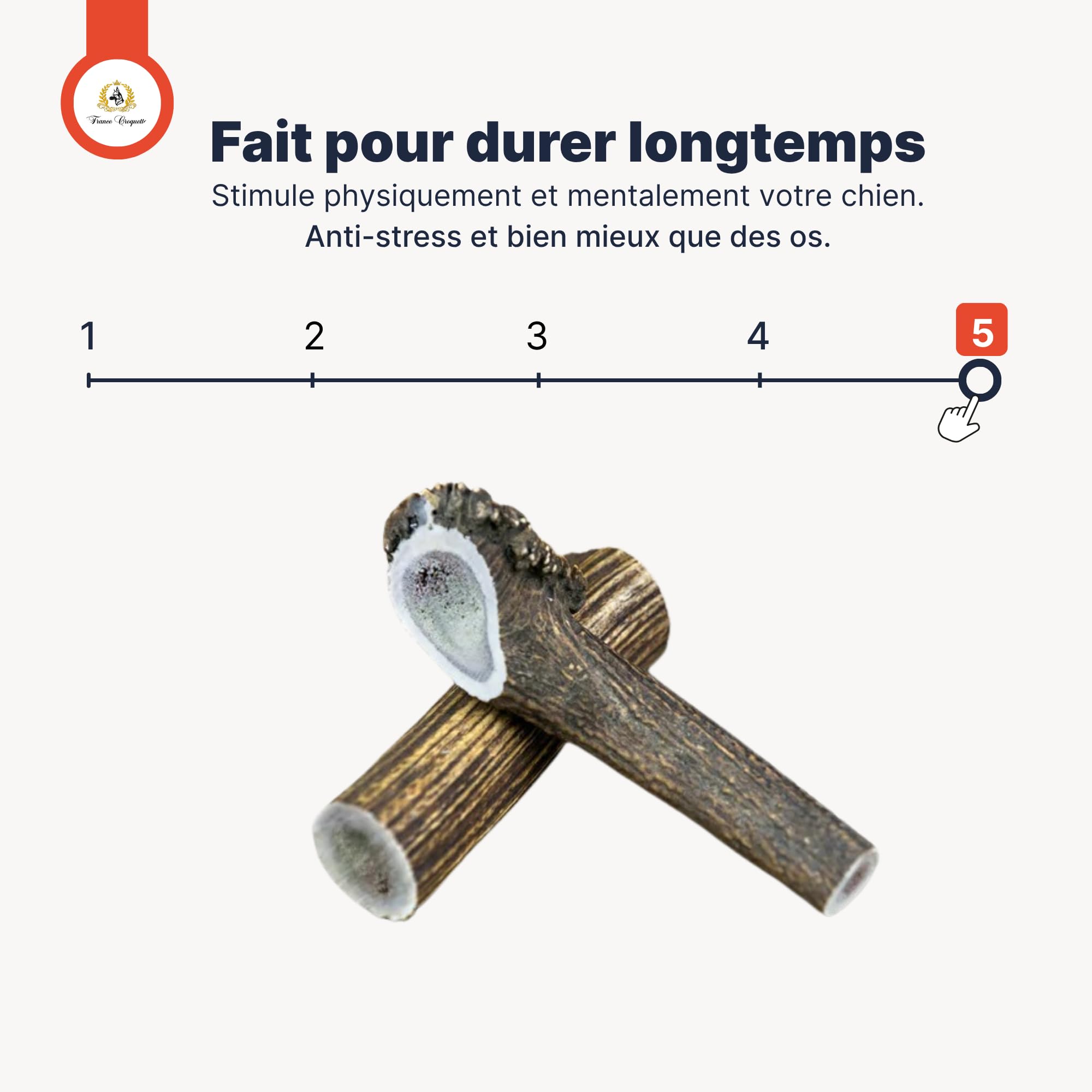 Bois de Cerf XXL Entier 200-300 g pour Chien Moins de 50 kg, friandise Naturelle à mâcher Longue durée, Soin Dentaire mécanique, Occupation & Plaisir, 100% Bois de cerf Naturel