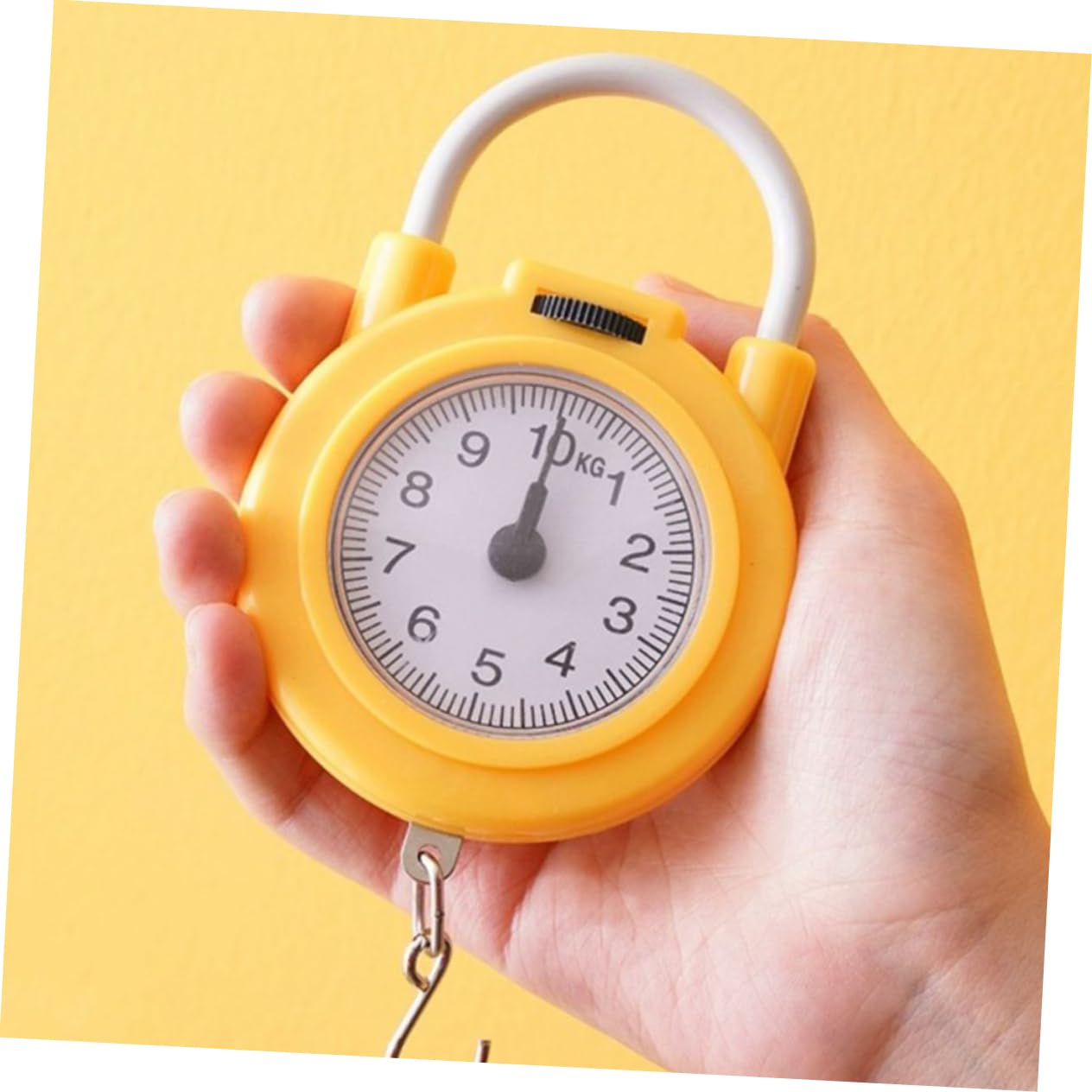 BESPORTBLE High Precision Portable Spring Scale with Hook Travel Weight Scale for Luggage Compact Design for Home and Outdoor Use