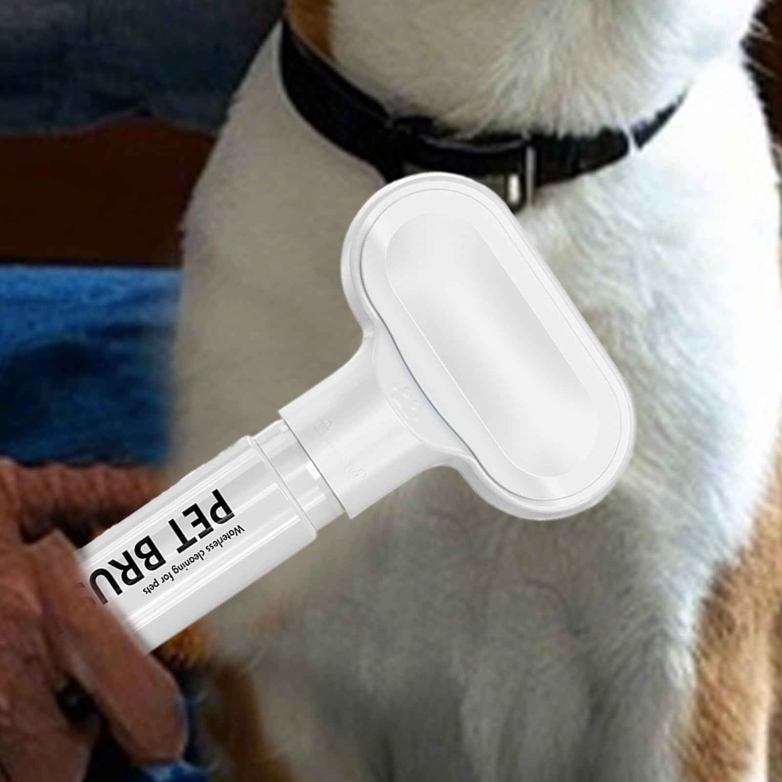 Hundeduschbürste Massage, Fellpflege, Reinigung, Tragbarer Seifenspender