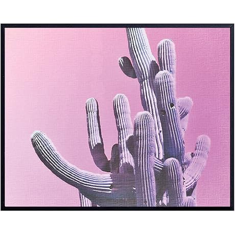 Cactus Pictures | Modern Desert Art | Wall Decor for Nature Lovers