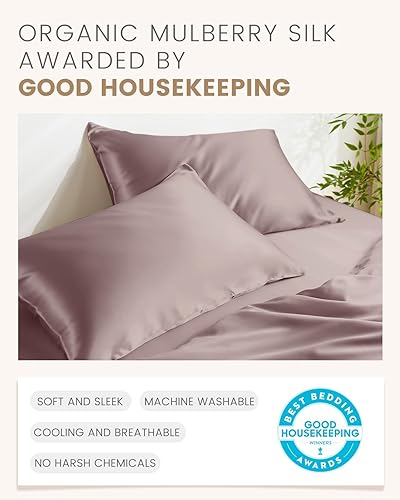 Miniatura 5 de THXSILK Juego de 2 fundas de almohada de seda de morera natural para cabello y piel, tamaño estándar de 20 x 26 pulgadas, fundas de almohada de seda