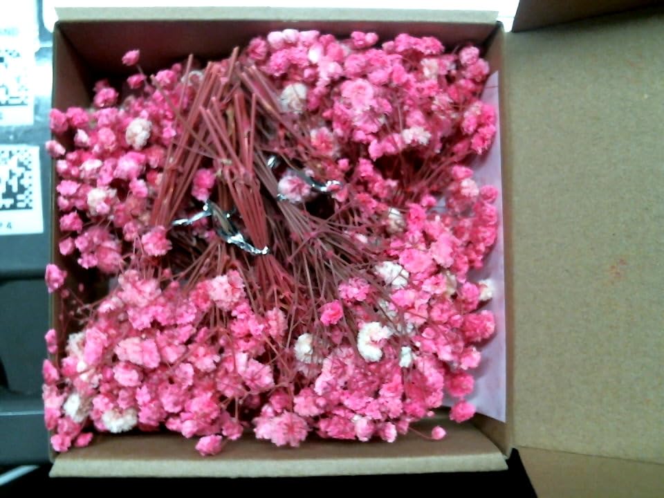Flores secas Babys Breath color rosa miniatura 1