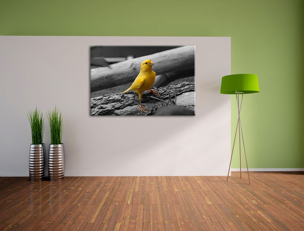 Pixxprint canarino meno vigile Stampa su tela 120x80 cm artistica murale