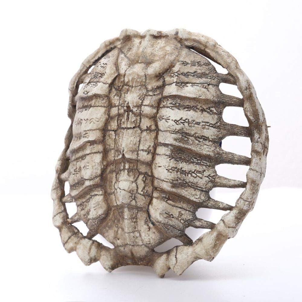 Résine murale écaille de tortue, cadeau idéal pour passionnés