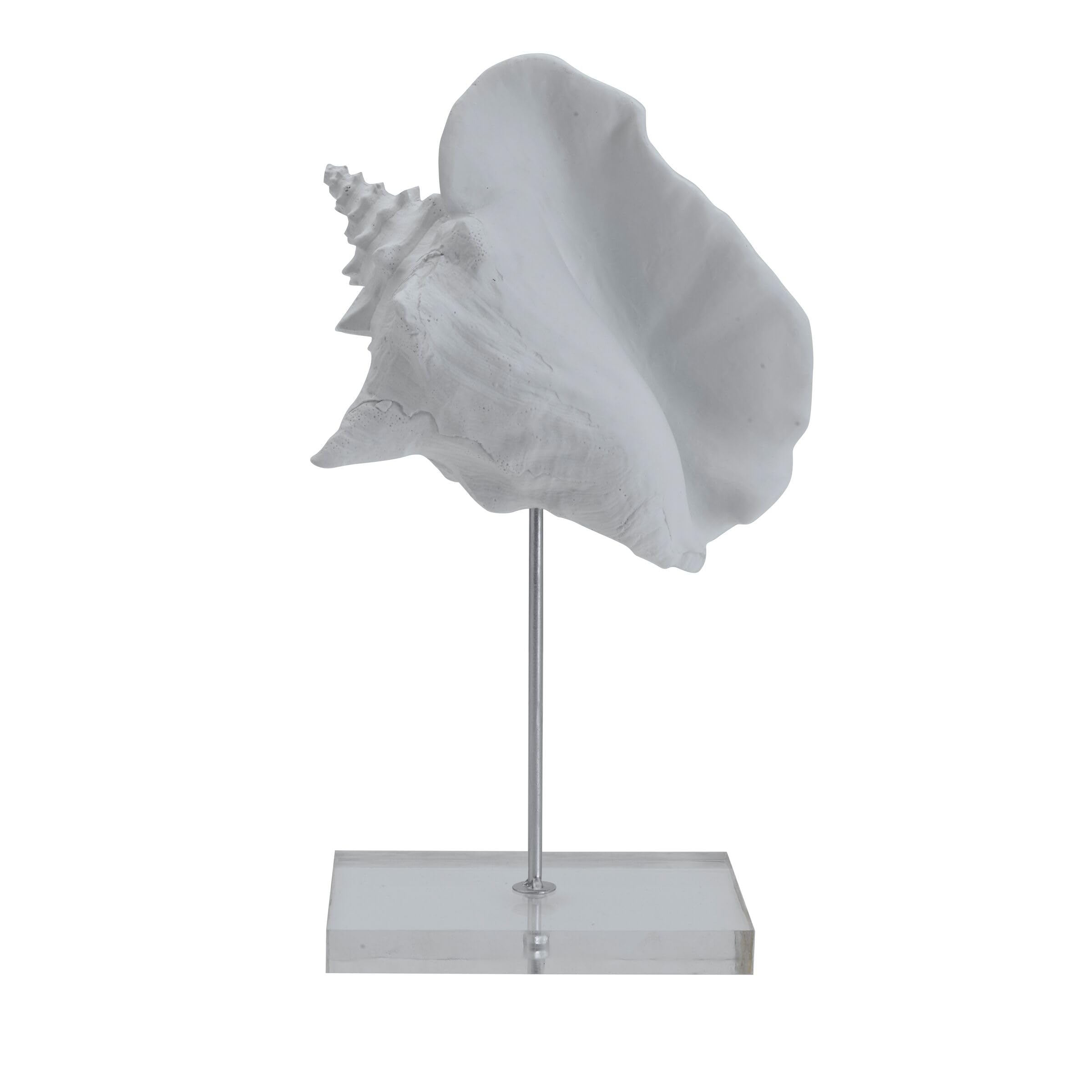 Amazon.com: Elements Decorative White Resin Conch Shell Figurine on ...