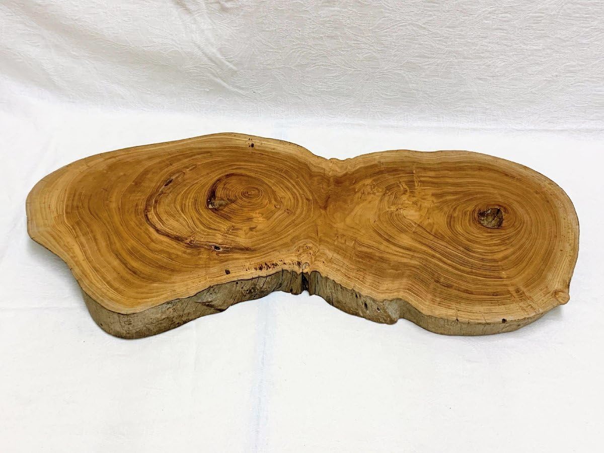 完売 天然楢の木で作成/超特大【切り株天板/インテリア台/薪割り台  
