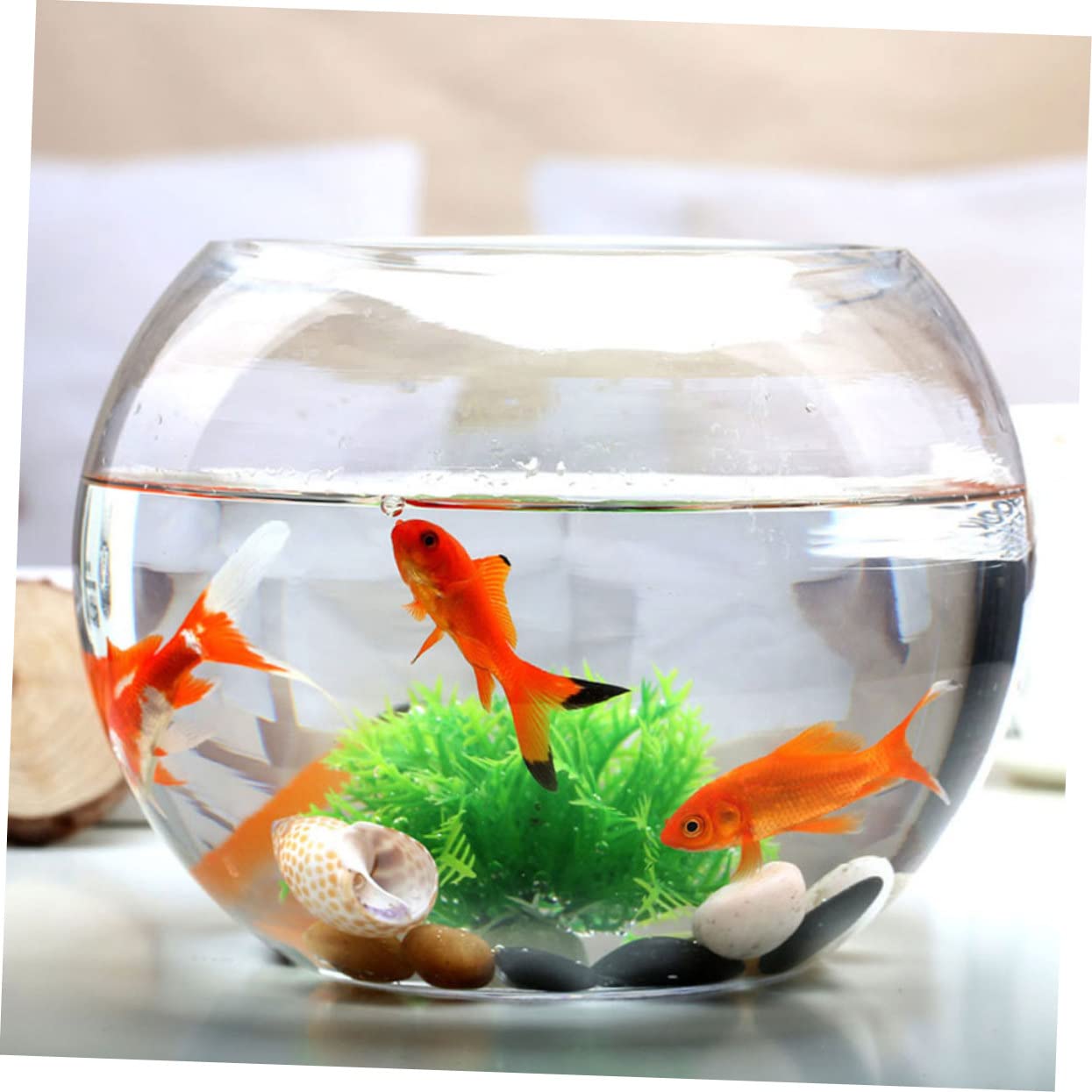 2pièces Vase Verre Transparent Rond pour Aquarium Terrarium Et Plantes Bocal Décoratif à Bulles pour Poissons Et Écosystème Intérieur
