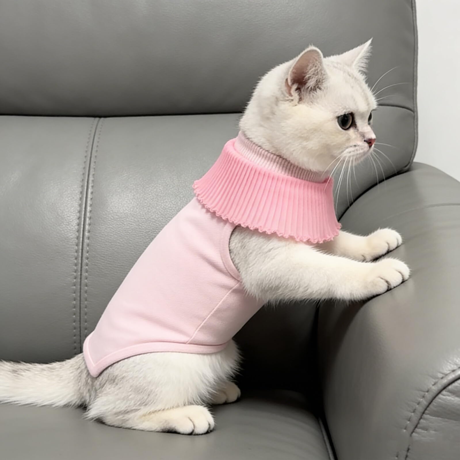 Abaodam Op Anzug für Katzen Atmungsaktiver Ganzkörper Genesungsanzug Elastischer Op Body für Kätzchen nach Kastration Rosa (s) Schutz vor Wundlecken und Hautirritationen