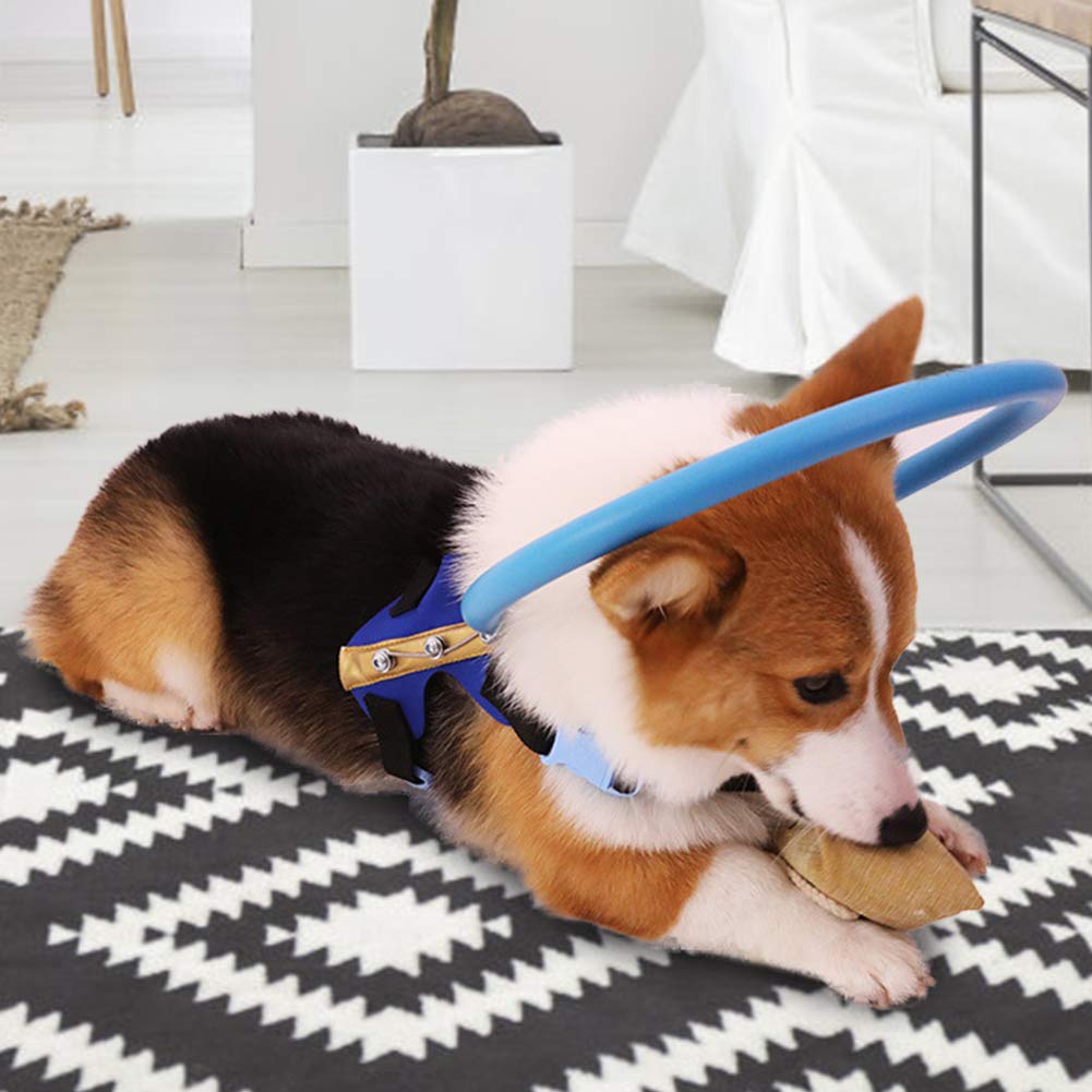 NCONCO Blinden Hundegeschirr - Anti-Kollisionsring Für Sehbehinderte Hunde