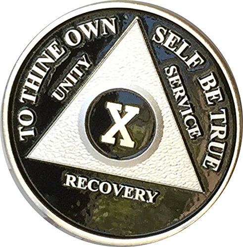 Black & Silver Plated 10 Year Aa Alcoholics Anonymous Sobriety Medallion Vinyl Protector Ten X #TOP5