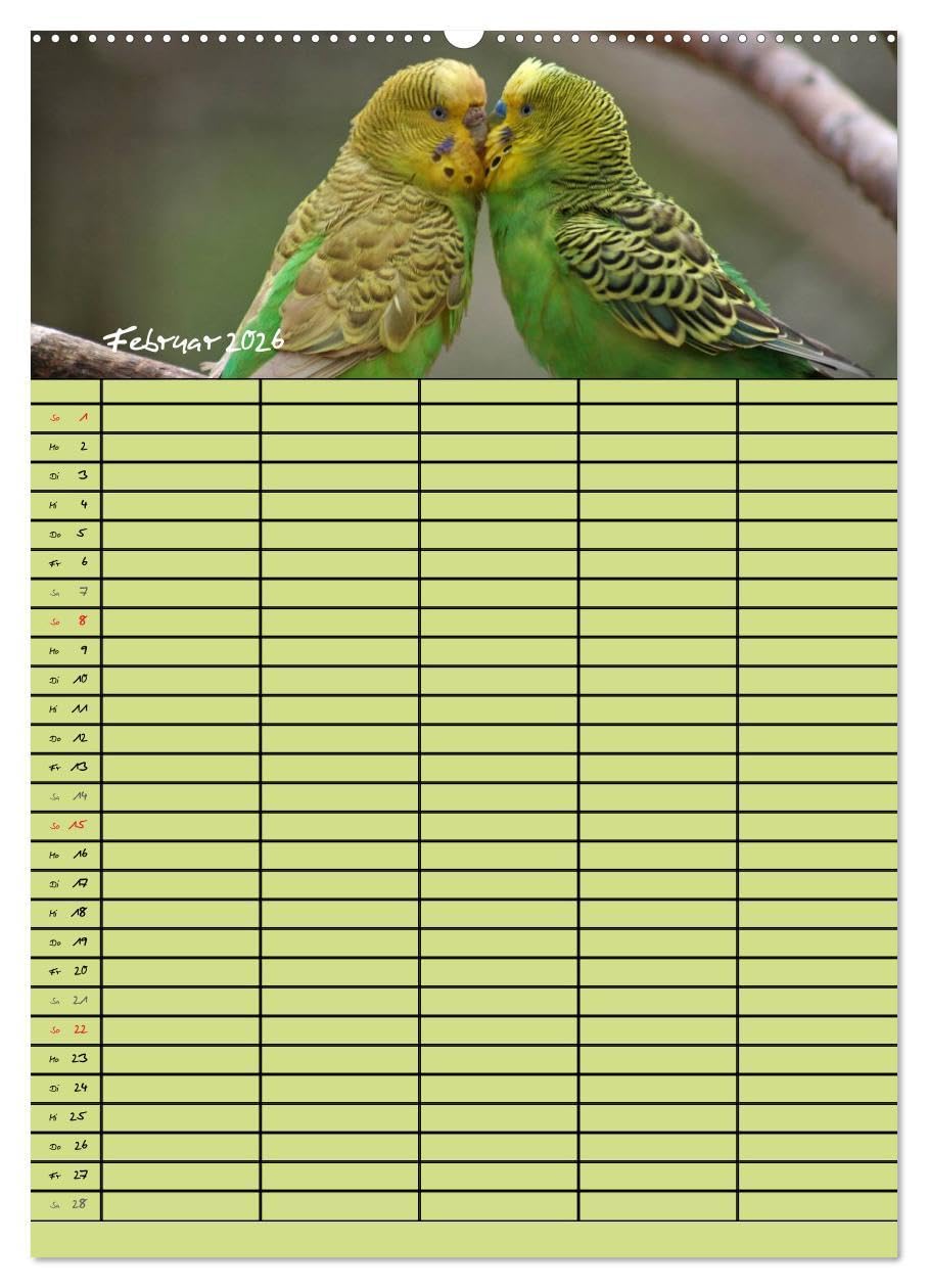 Der Wellensittich-Familienplaner (Wandkalender 2026 DIN A2 hoch), CALVENDO Monatskalender: Putzige Piepmätze (CALVENDO Tiere)