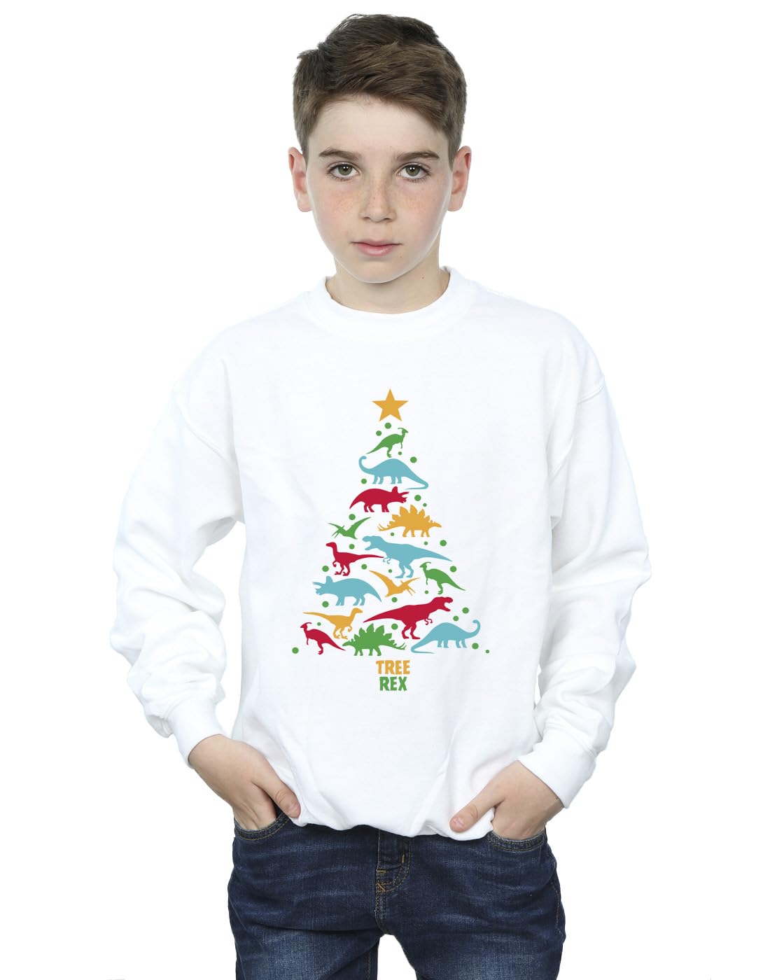 Absolute Cult Boys White Christmas Dinosaur Tree Rex Sweatshirt 12-13 Years
