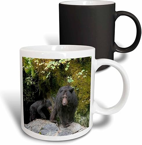 Miniatura 1 de 3dRose Black bear cub following its mama at Anan Creek. - Mugs (mug-380596-3)