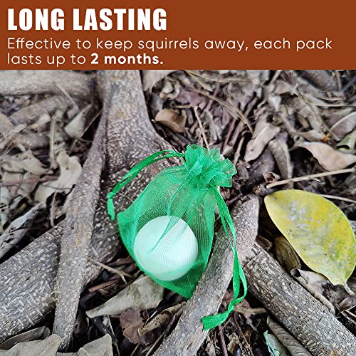 Seekbit RT-2 4 Pack Squirrel Repellent thumb #5