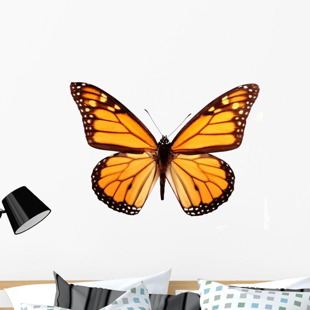 Monarch Butterfly Wall Decal Wallmonkeys Peel and Stick Animal Graphics (36 in W x 26 in H) WM154546