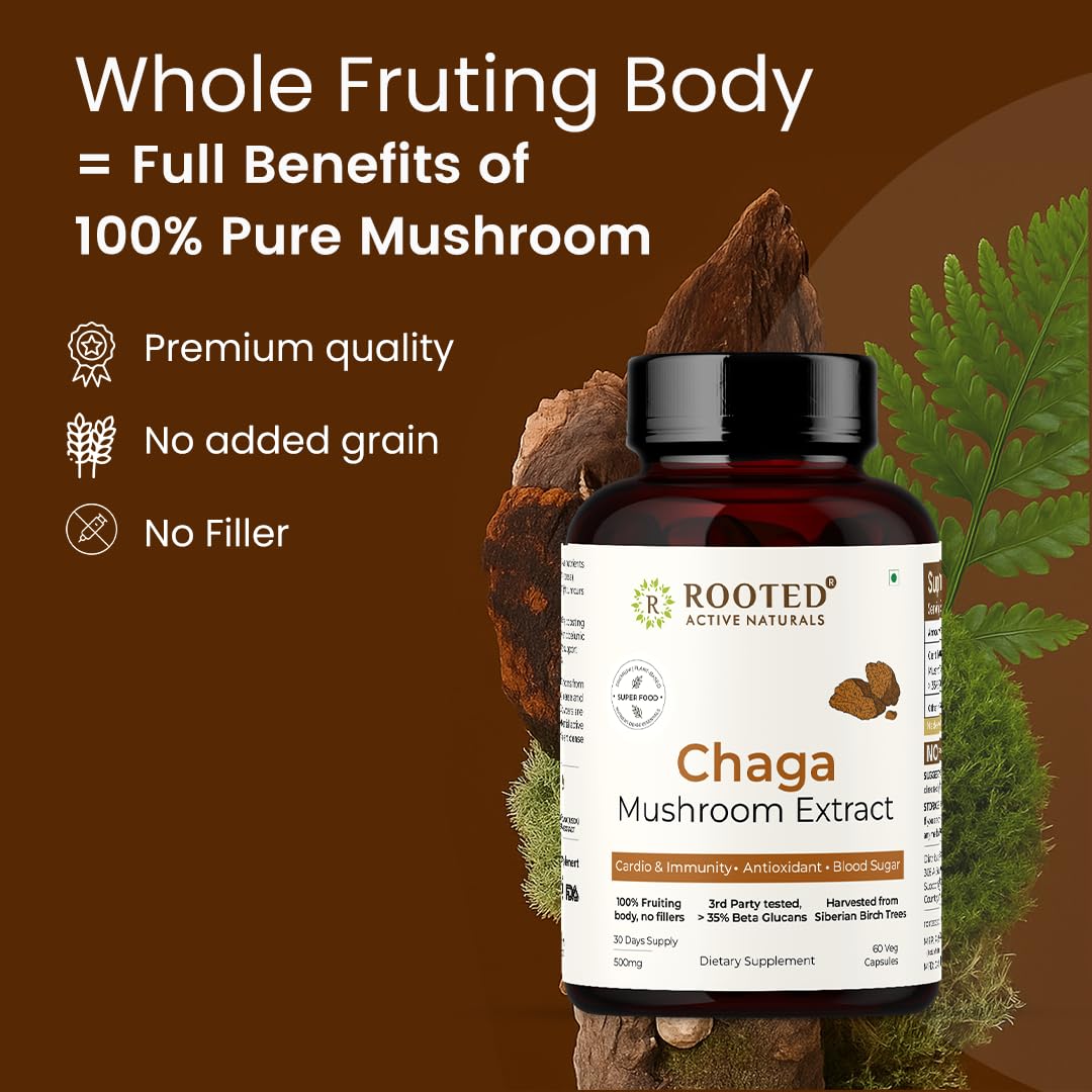 Rooted Active's Organic Chaga Capsules - Immune System Support Supplement, Antioxidant Activity Support, Regulate Body Functions, Immune Support vegan Extract, Dietary Mushroom Supplement (60 Caps) - Image 2 thumbnail