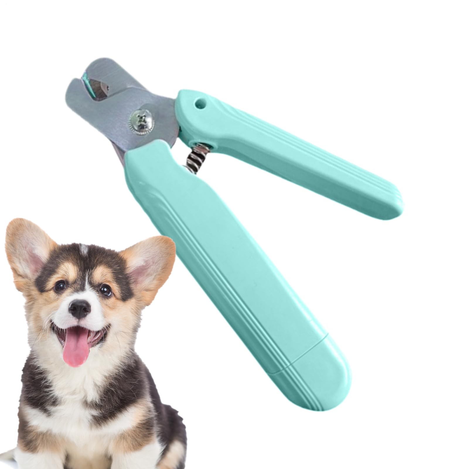 Coupe-griffe pour les chiens et chaton pour un soin des pattes tout en douceur