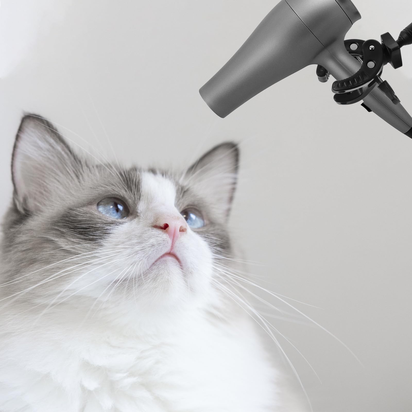 Didiseaon Supporto Asciugacapelli per Animali Domestici Morsetto, Braccio Flessibile Regolabile a 360°, Base Stabile per Toelettatura Professionale e Domestica