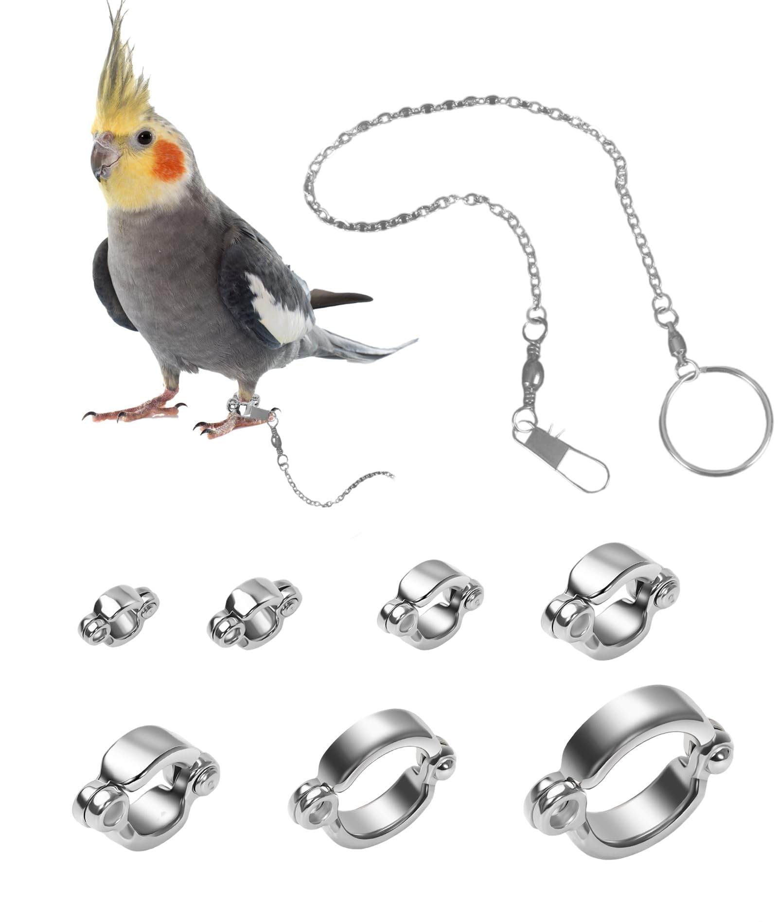 SonaBhu Bird Harness, 8-Piece Parrot Zinc Alloy Leg Bands for Outdoor Training, Secure Fit with 25cm Chain, Multiple Sizes 4-10 for Various Birds