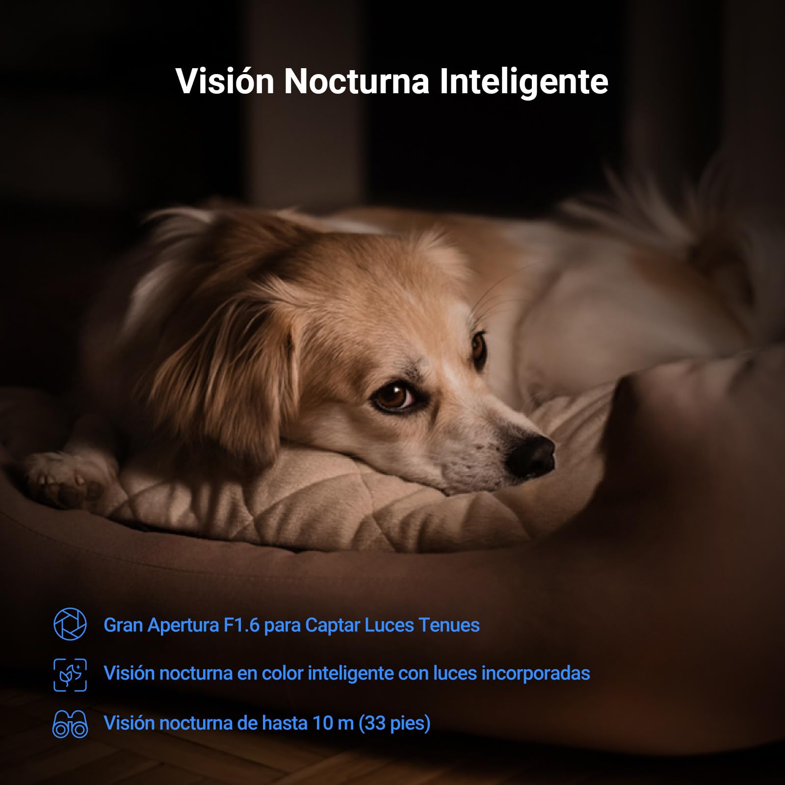 EZVIZ 4K Cámara Vigilancia WiFi Interior 360°, Cámara IP Deteccion de Personas/Mascotas/Ruido, Seguimiento con Zoom Automático, Visión Nocturna en Color, Audio Bidireccional, Wi-Fi 2.4/5GHz, C6N G1