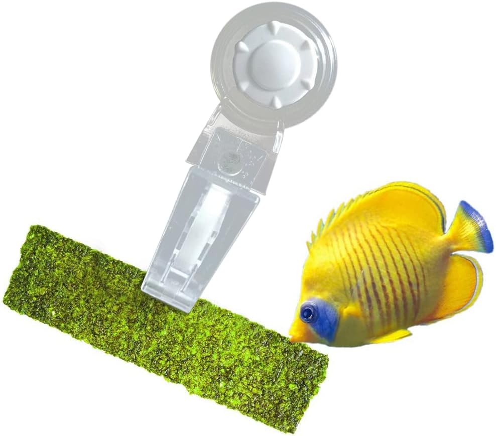 Luffy Fish Aquarium Seaweed Veggie Holder Clip, 5 x 2 Inches, Fish Food Holder, Saltwater Aquarium Tank Feeding Accessories