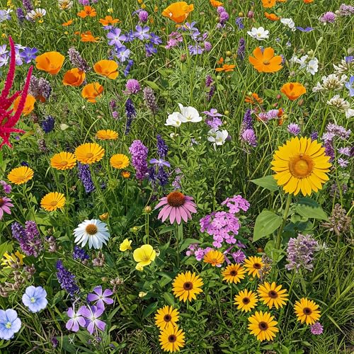 Image of Ferry-Morse Pollinator Lover's Bulk Wildflower Seeds, 200,000+, 1 lb