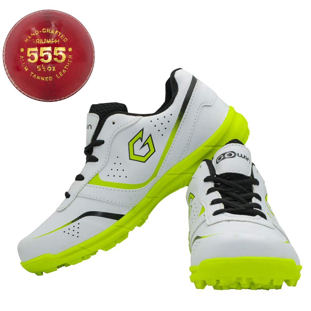 Gowin Academy White/Green Cricket Shoes Size-4 with TR-555-R Cricket Leather Ball Alum Tanned Red (B08T89PFBV) Amazon Price History, Amazon Price Tracker