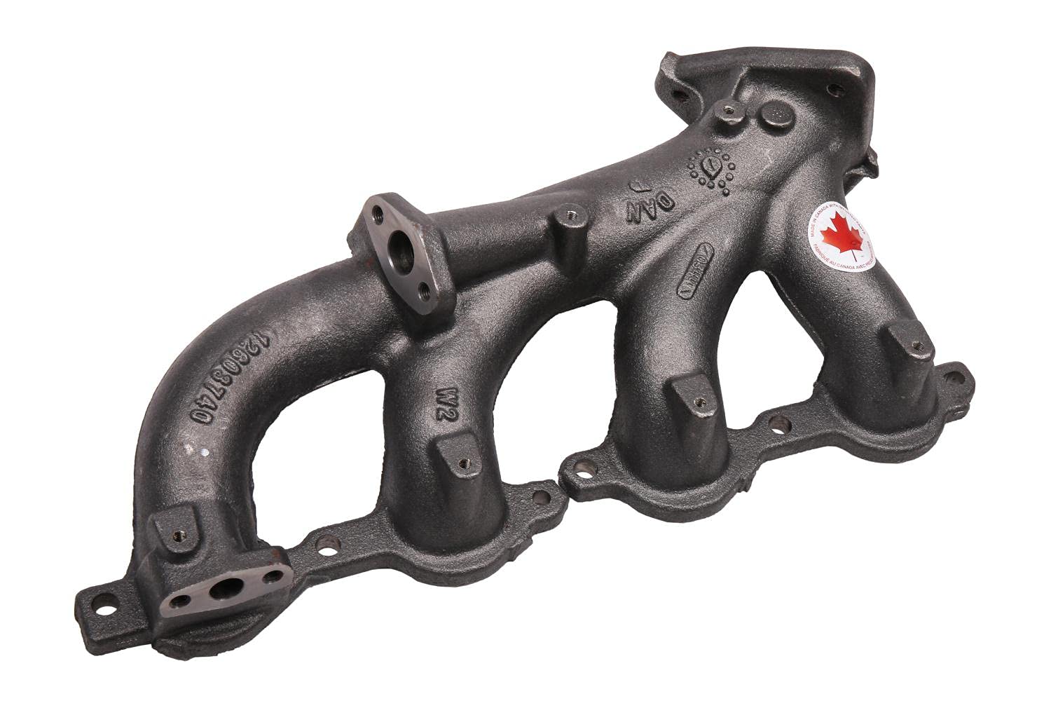 Amazon.com: GM Genuine Parts 12559506 Passenger Side Exhaust  