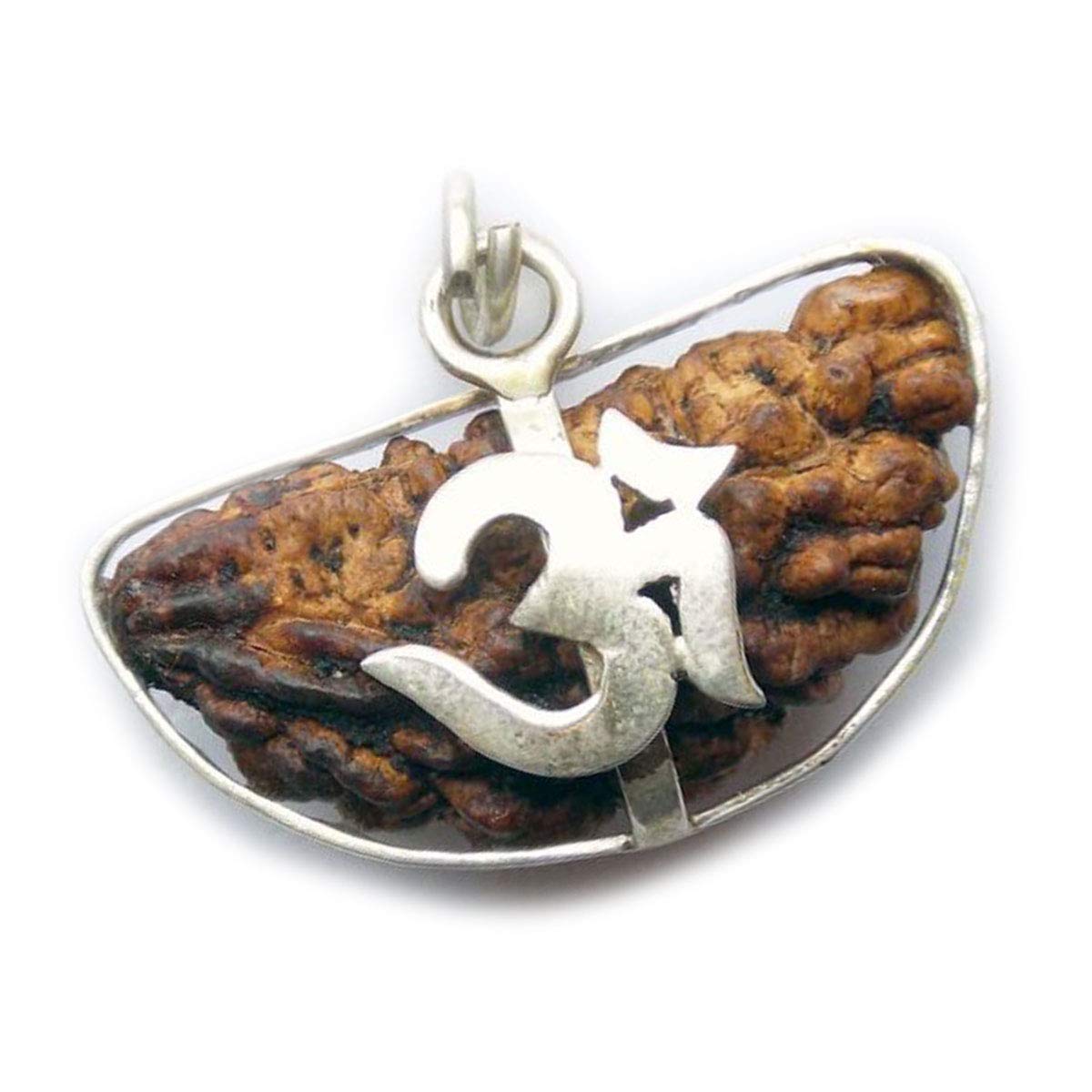 55 Karat® Rudraksha-Anhänger, versilbert, ursprünglich im Labor Zertifiziert, 1 2 3 4 5 6 7 8 9 10 11 12 13, nepalesischer Gauri Shankar Ganesh Mukhi Rudraksha-Anhänger, Schmuck für Männer und Frauen