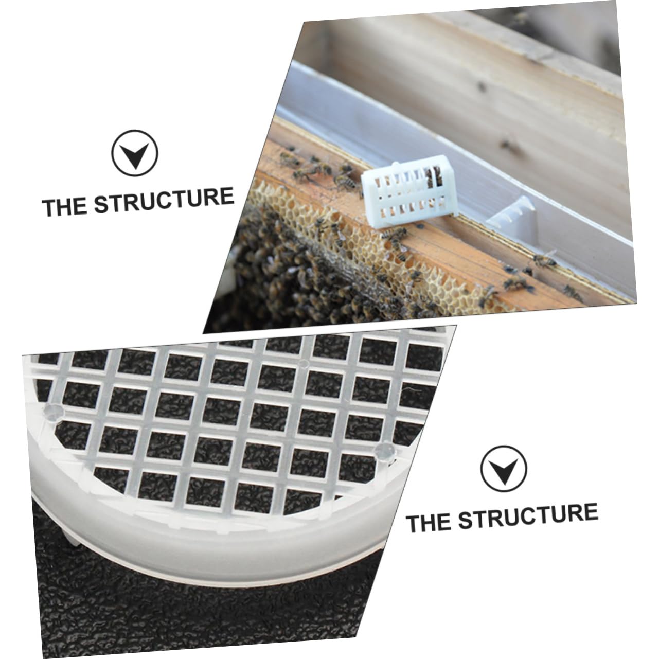 VANZACK Professionale Per Allevamento Regine Api Kit Completo Per Apicoltura Strumenti Per Nutrizione e Allevamento Contenitore Per Facile Da Usare e Trasportare