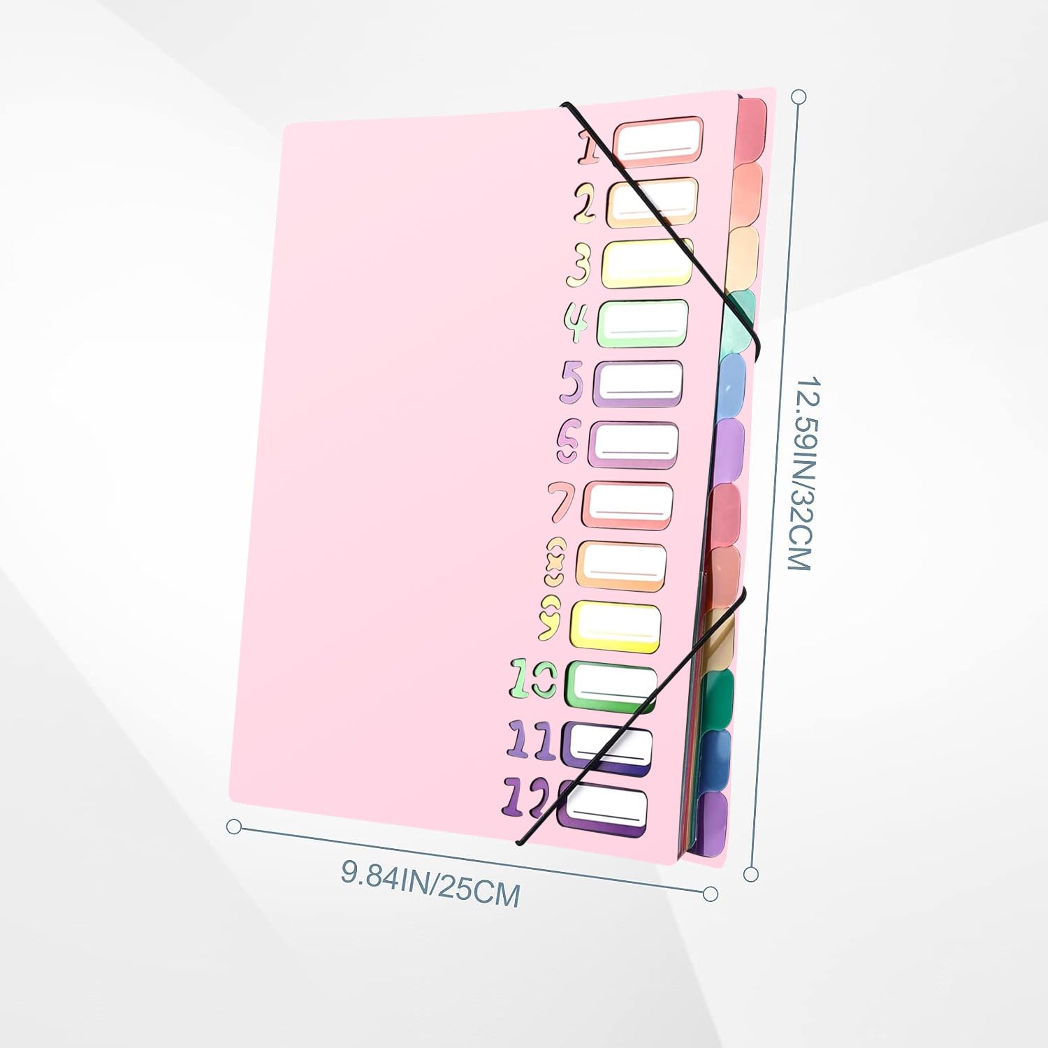 Delamiya Porte-documents A4, portable, avec 12 compartiments, en plastique polypropylène, avec élastique, étanche, pour l'école, les fournitures de bureau (noir)