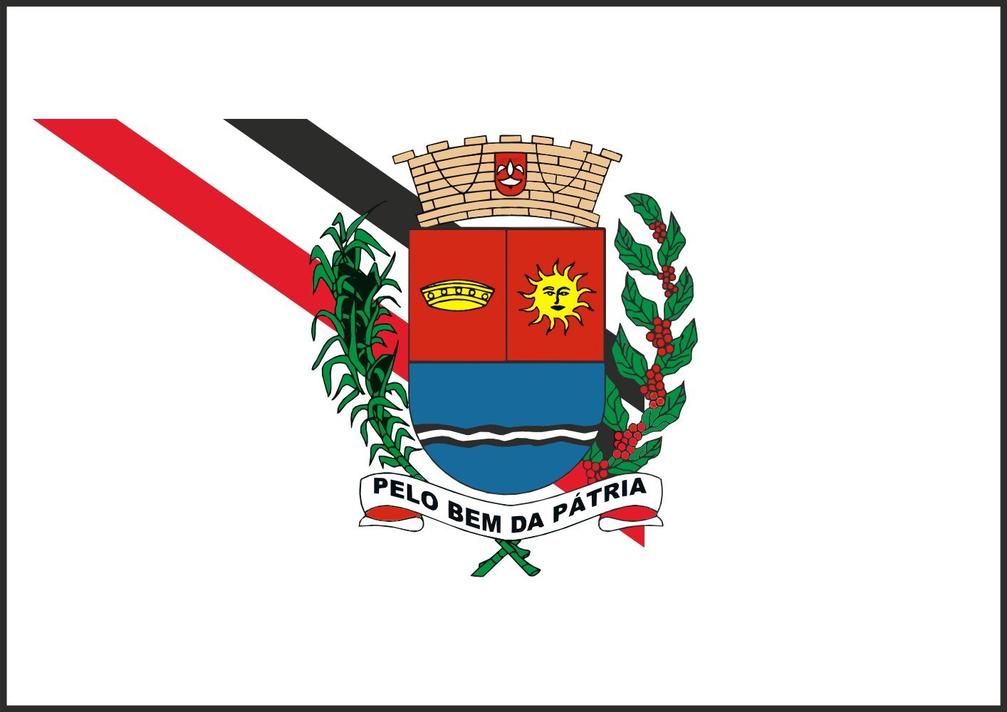 Drapeau d'Araras grand format officiel de la municipalité de São Paulo