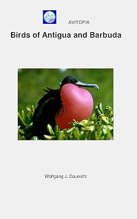AVITOPIA - Birds of Antigua and Barbuda