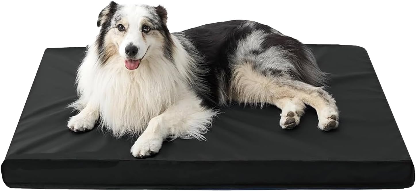 Brillars Orthopedic Dog Bed for Resting Sleeping – Waterproof Removable Cover, Anti-Slip Cat Puppy Cage Crate Large Mattress for Pet Comfort Mat Joint Relief – Black