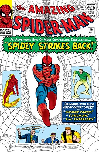 Cover of Amazing Spider-Man (1963-1998) #19