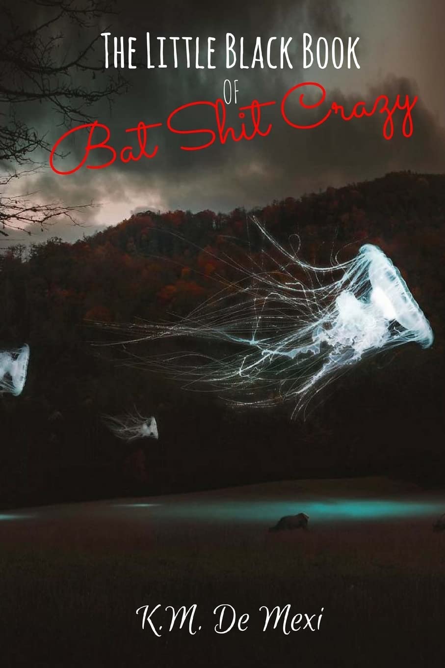 The Little Black Book of Bat Shit Crazy: Volume 1 (The Survivor's Almanac)
