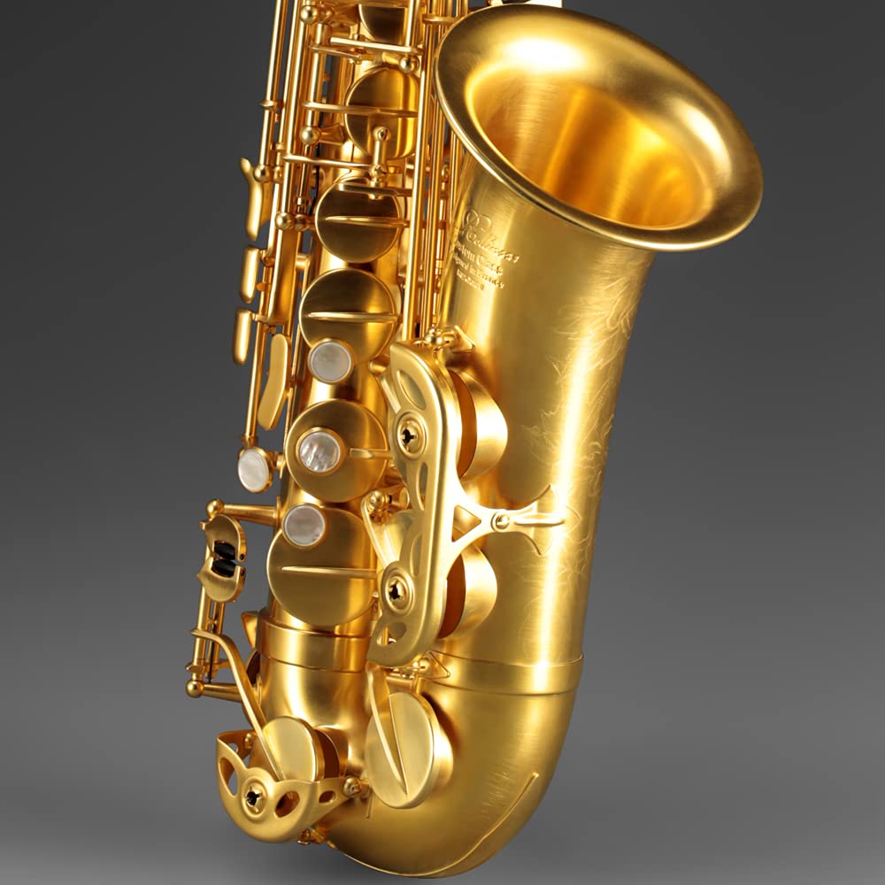Rollins Saxophone alto RSA-X10-II,E flat Selmer 54-Key,Matière laiton, Or