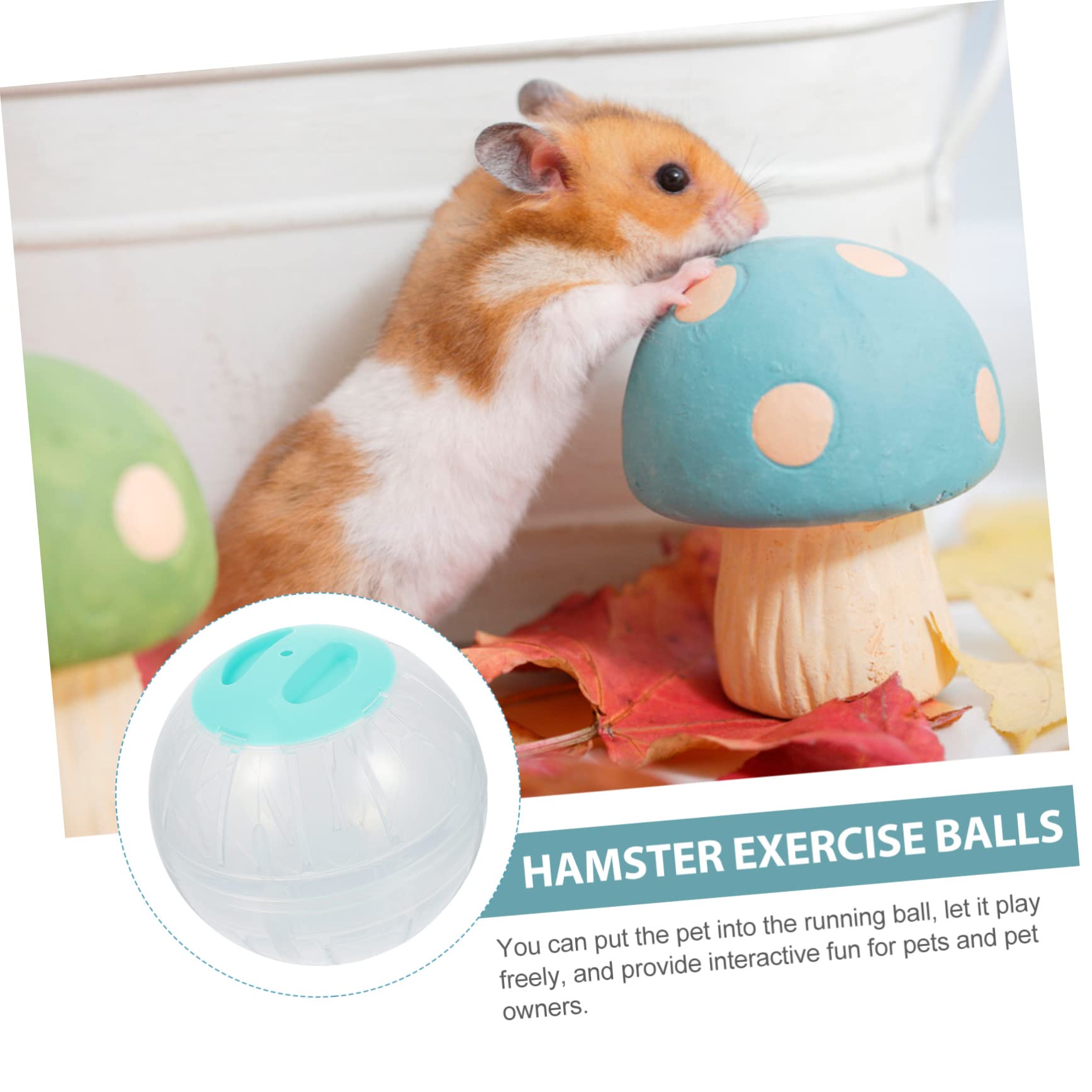 4stücke Hamster Übungsball Transparente Laufkugeln Für Kleine Haustiere Langlebig Und Tragbar Für Hamster Mäuse Und Kleine Igel Fitness Spielzeug