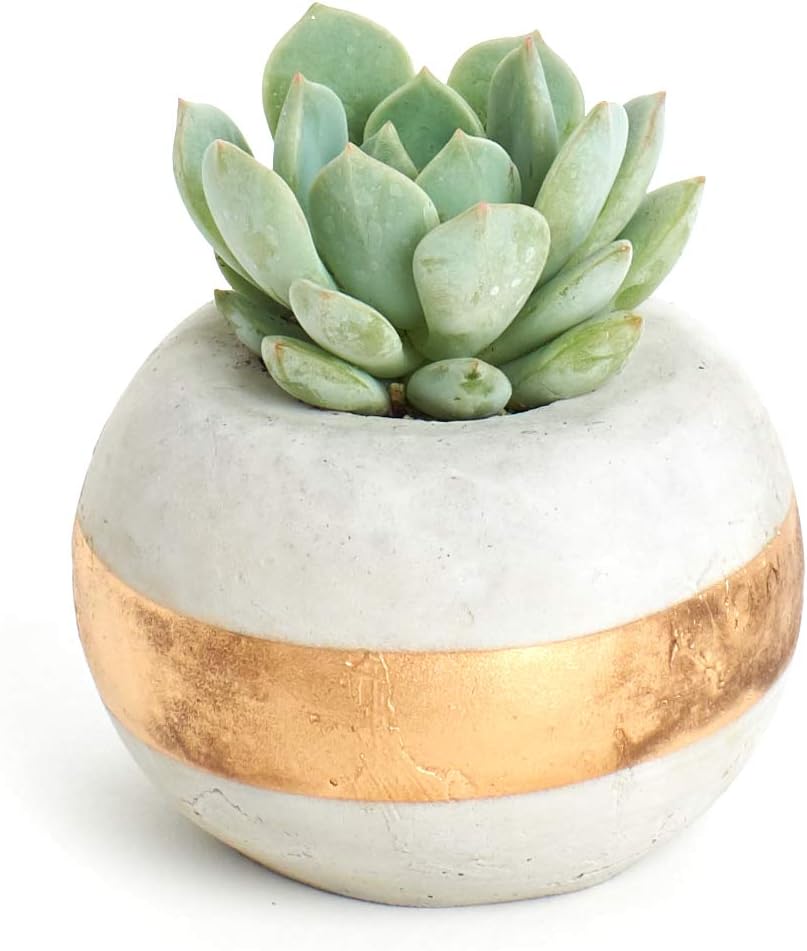 Classic Concrete Orb Planter, Cement Pot for a Single Succulent Plant, Modern Home Decor - Concrete Collection