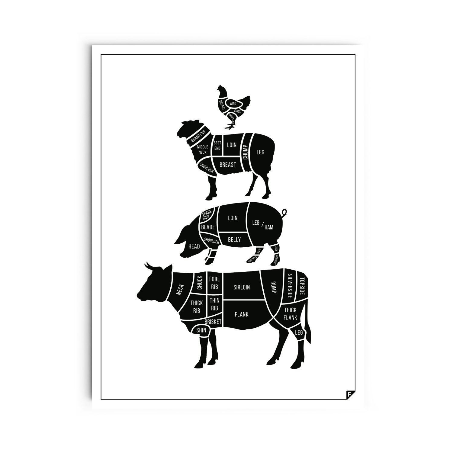 Follygraph Kitchen Poster - Meat Cuts - White Kitchen Art, Picture, Print (40x50)