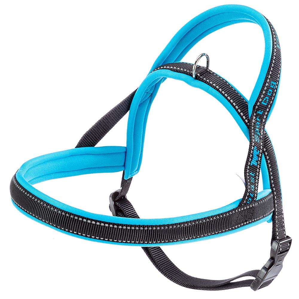 Ferplast Pettorina Cane SPORT DOG, Pettorina Cane Taglia Media, Pettorina Svedese, Imbottitura Soffice, Cuciture riflettenti, Chiusura con Clip a Scatto, Etichetta per nome dell'animale, Blu