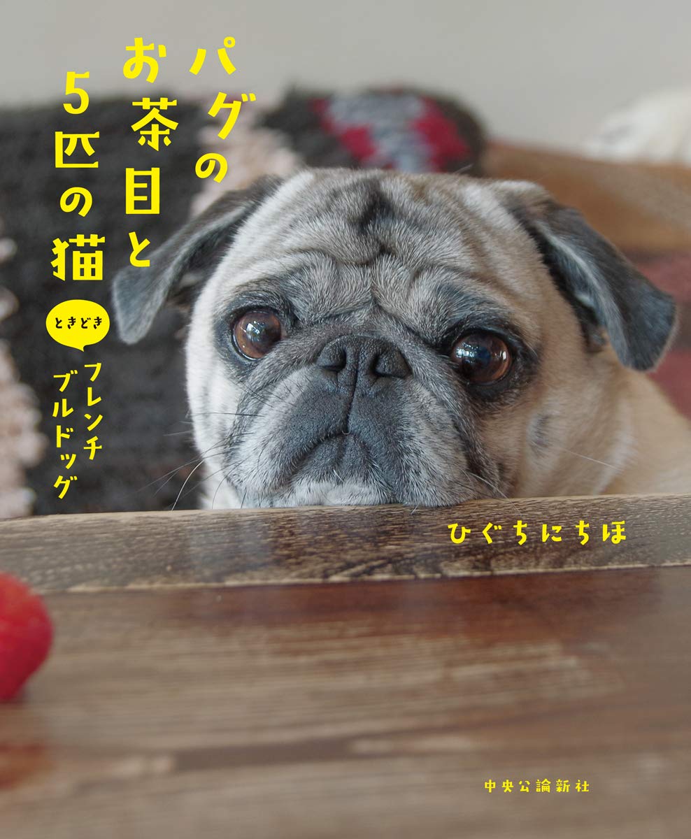 パグのお茶目と5匹の猫 ときどきフレンチブルドッグ 単行本 ひぐちにちほ 配送料無料